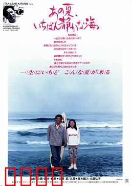 那年夏天，宁静的海【影视解说】