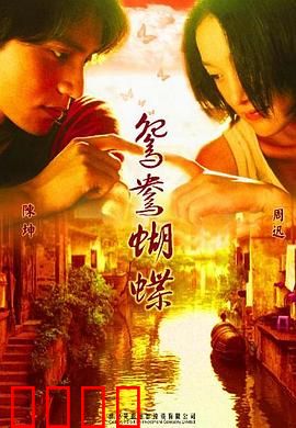 鸳鸯蝴蝶【影视解说】