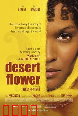 沙漠之花【影视解说】