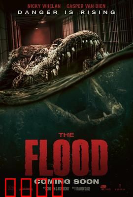 致命洪灾【影视解说】