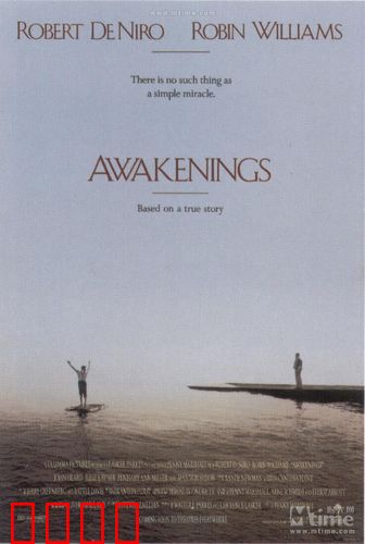 苏醒【影视解说】