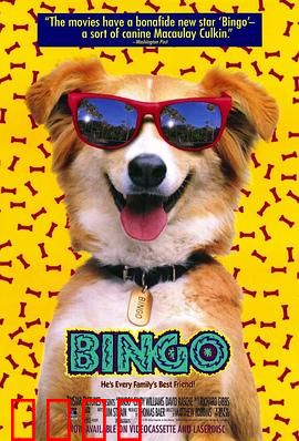 灵犬宾果【影视解说】