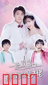 一胎双宝，我的妈咪是大佬