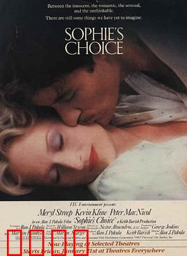 苏菲的抉择【影视解说】