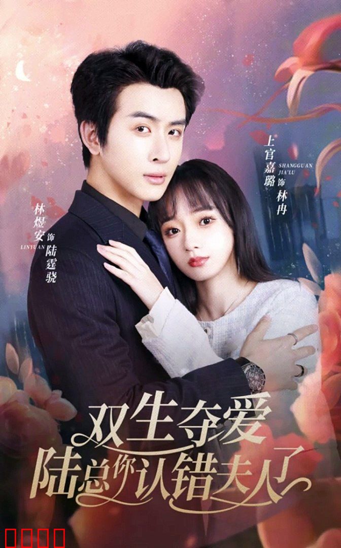双生夺爱，陆总你认错夫人了