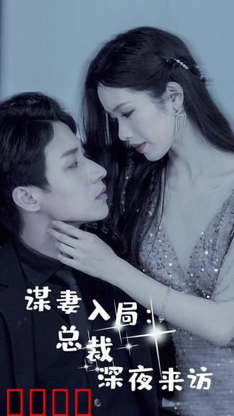 谋妻入局：总裁深夜来访
