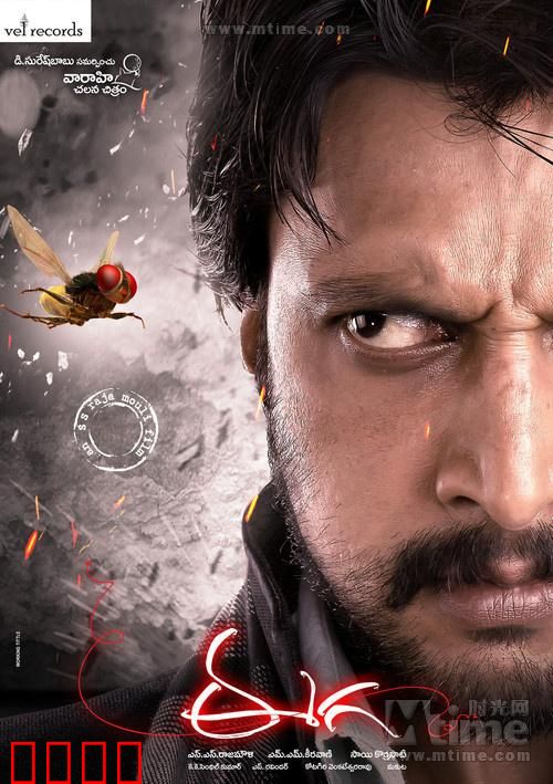 苍蝇侠【影视解说】