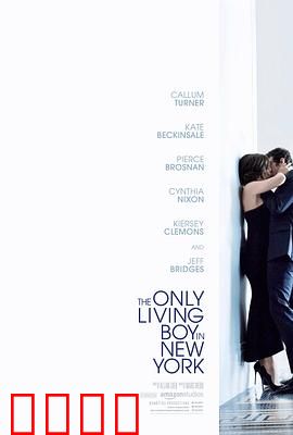 纽约唯一活着的男孩【影视解说】