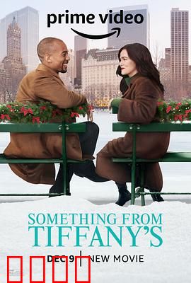 蒂芙尼的礼物【影视解说】