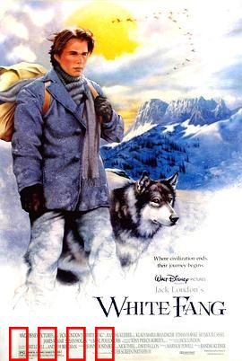 雪地黄金犬【影视解说】