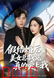 假结婚后 美女总裁竟真的爱上我