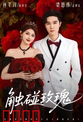 触碰玫瑰（凌晨四点半，玫瑰花未眠）