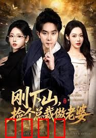 刚下山捡个总裁做老婆