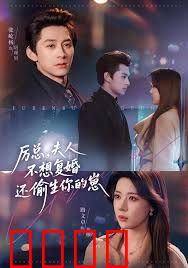 厉总，夫人不想复婚还偷生你的崽