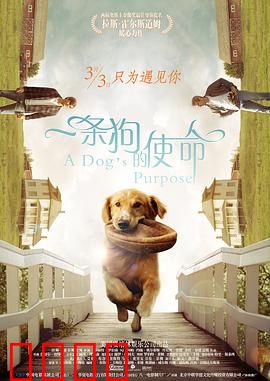 一条狗的使命国语