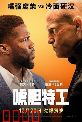 唬胆特工【影视解说】