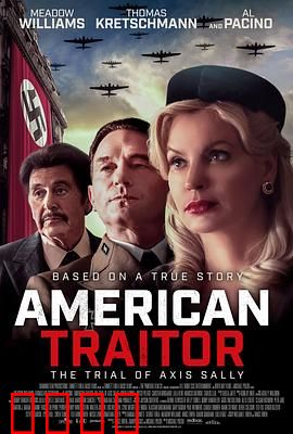 美国叛徒：轴心莎莉的审判