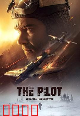 飞行员【影视解说】