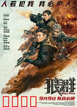 狼群【影视解说】