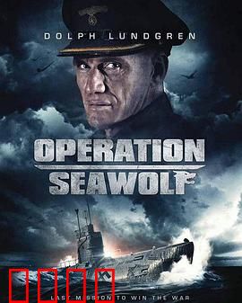 海狼行动【影视解说】