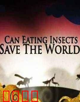 吃昆虫能拯救世界吗？