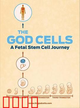 生死之争：胎儿干细胞