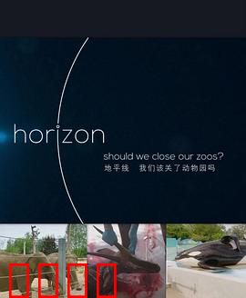 BBC地平线：我们该关了动物园吗？