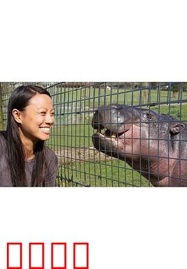 倭河马的秘密生活