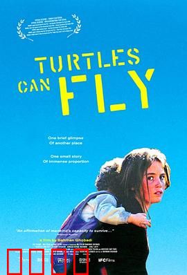 乌龟也会飞【影视解说】