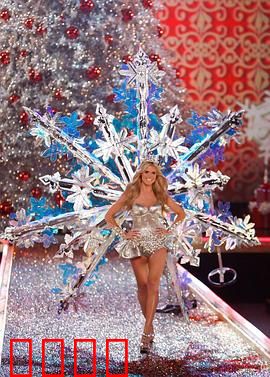 维多利亚的秘密2007时装秀