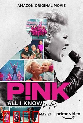 P!NK：我所知道的一切