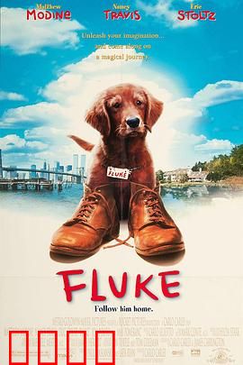 再世人狗缘【影视解说】