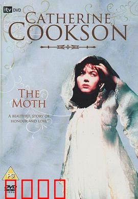 新月佳人【影视解说】