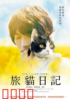 旅猫日记【影视解说】