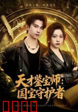 天才鉴宝师：国宝守护者