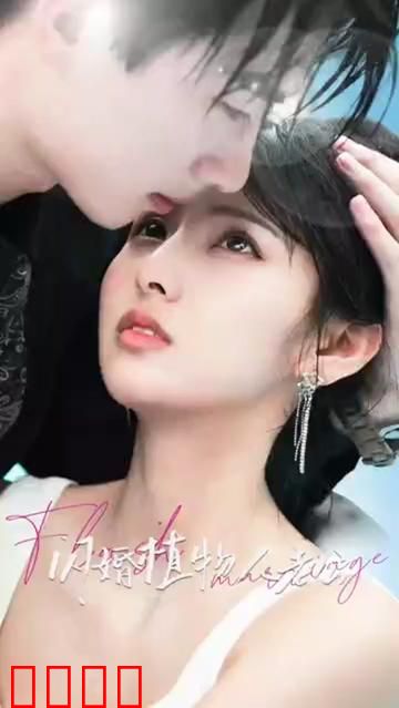 闪婚植物人老公