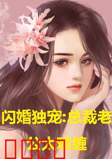 闪婚独宠，总裁老公太难缠