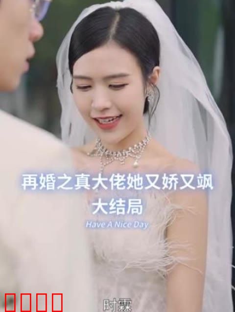 再婚之真大佬她又娇又飒