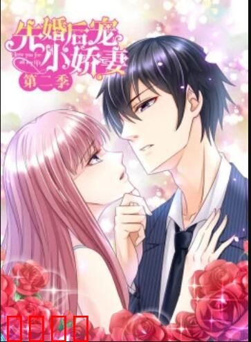 先婚后宠小娇妻第二季