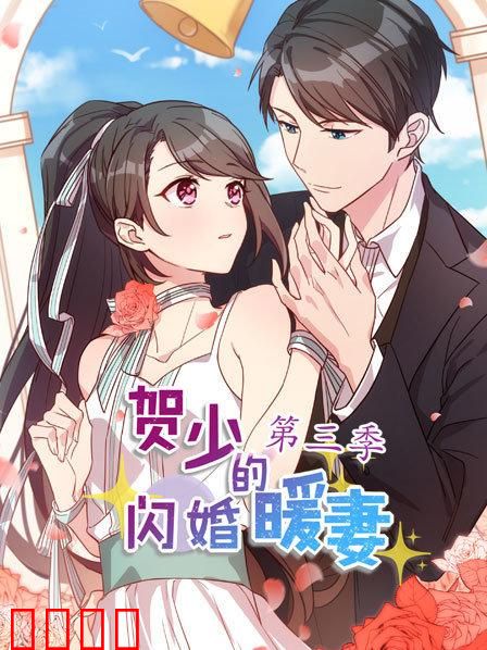 贺少的闪婚暖妻第三季