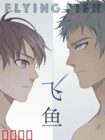 飞鱼