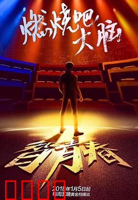 最强大脑之燃烧吧大脑第一季