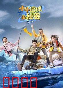 小小追球的秘密