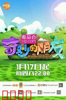 奇妙的朋友