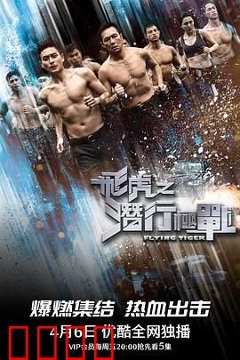 飞虎之潜行极战国语