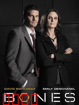 识骨寻踪第一季