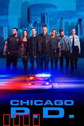 芝加哥警署第七季