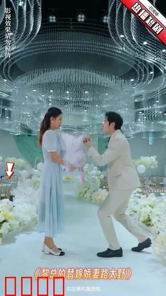 黎总的替嫁娇妻路太野