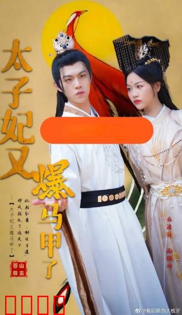 太子妃又爆马甲了