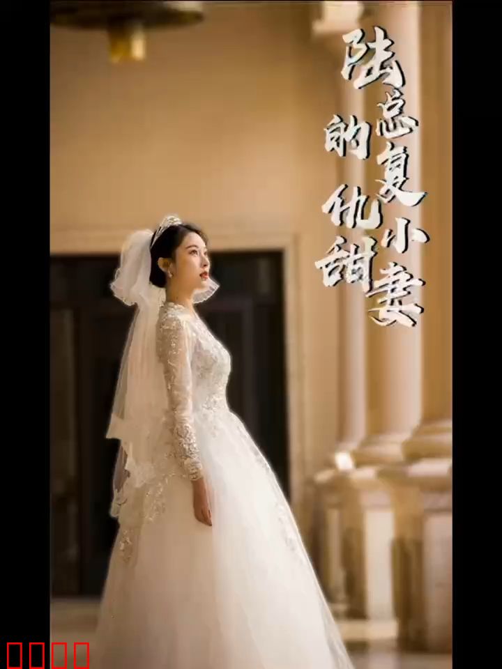 陆总的复仇小甜妻